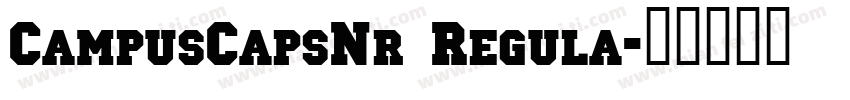 CampusCapsNr Regula字体转换
